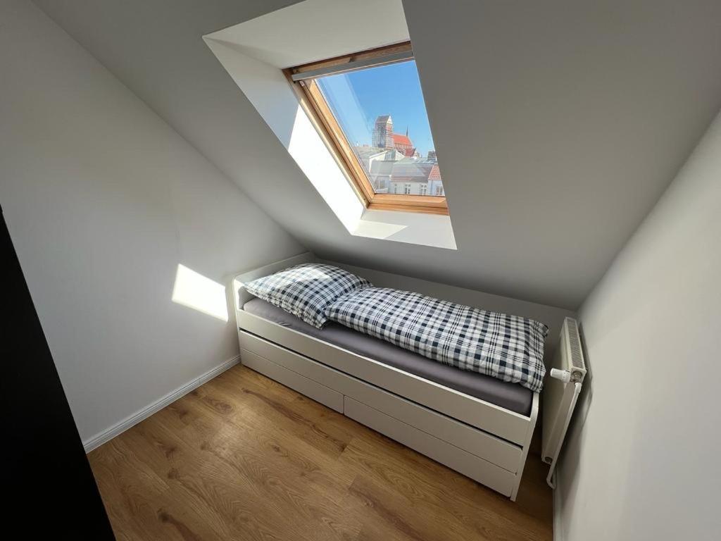 Meeresleuchten Apartment Wißmar